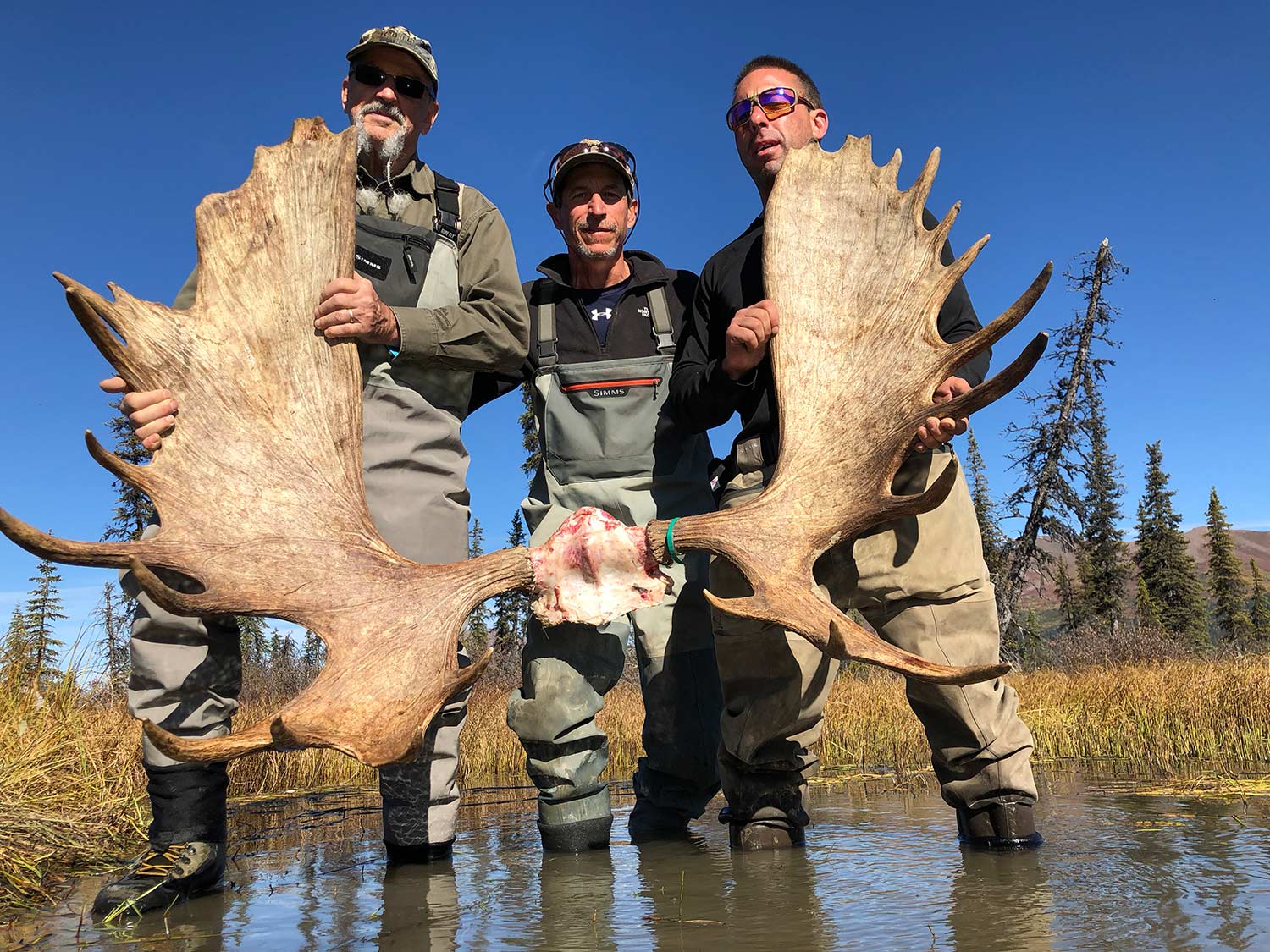 Alaska Moose Hunting Guides Hidden Alaska Guides And Outfitters   Alaska Group Moose Hunting 1500 Wide 