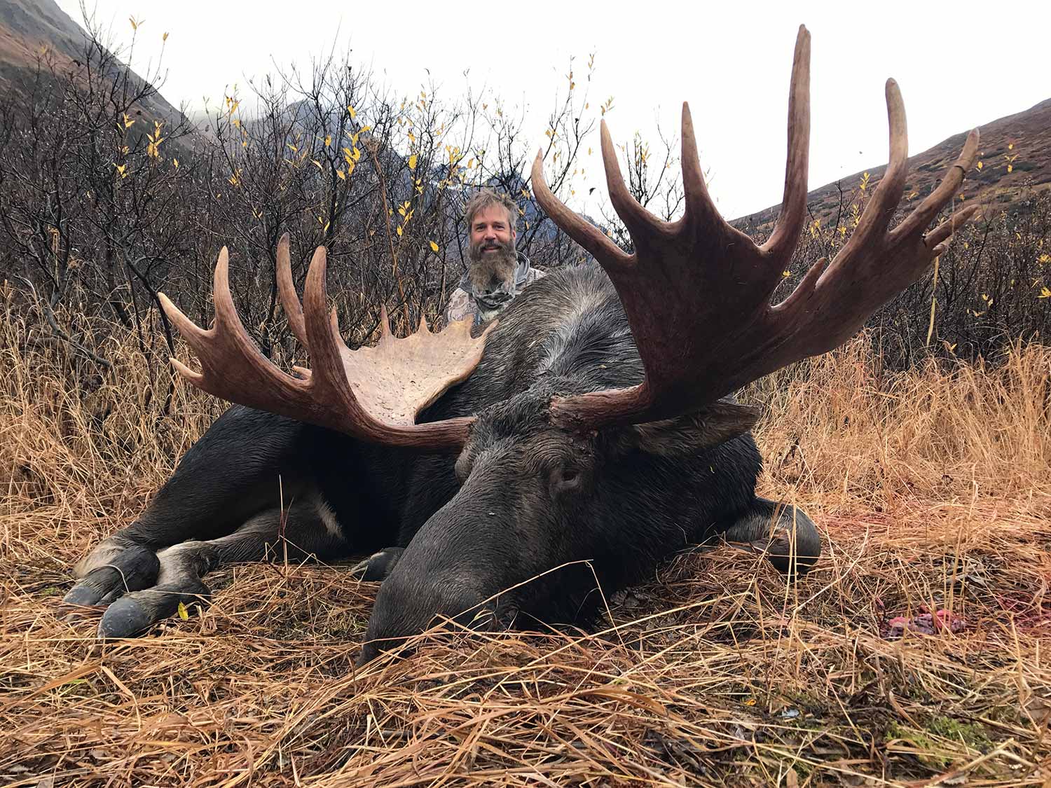 Alaska Moose Hunting Guides Hidden Alaska Guides and Outfitters