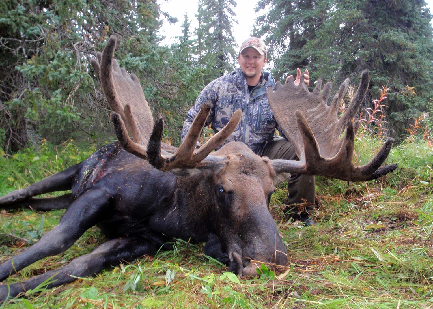 moose hunting trip in alaska