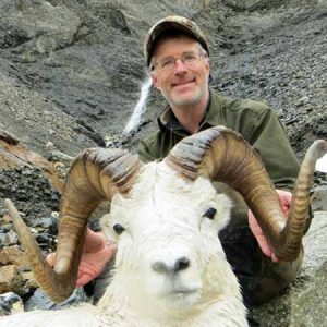 Huge Dall Sheep Hunts Hidden Alaska Guides 450×450