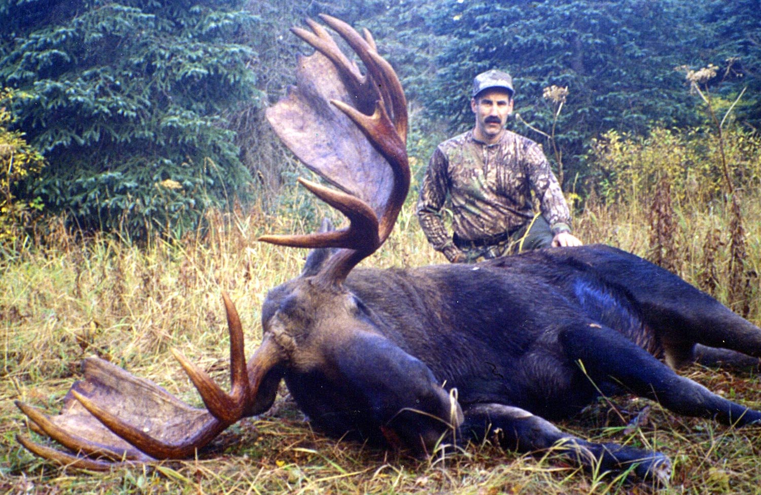 Alaska Moose Hunting Guides Hidden Alaska Guides and Outfitters