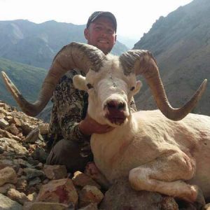 Record Bokk Sheep With Hidden Alaska Guides 450×450