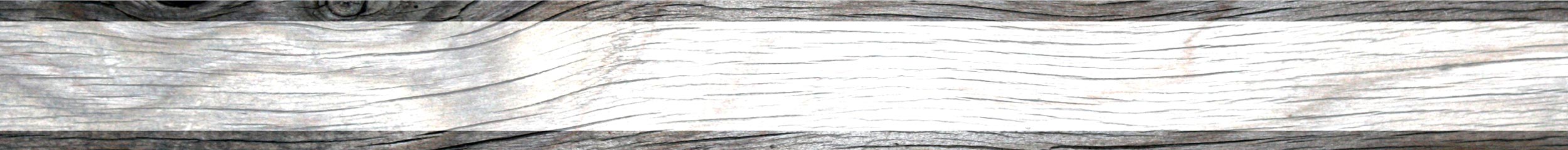 Hidden Alaska Guides and Outfitters — photo 4