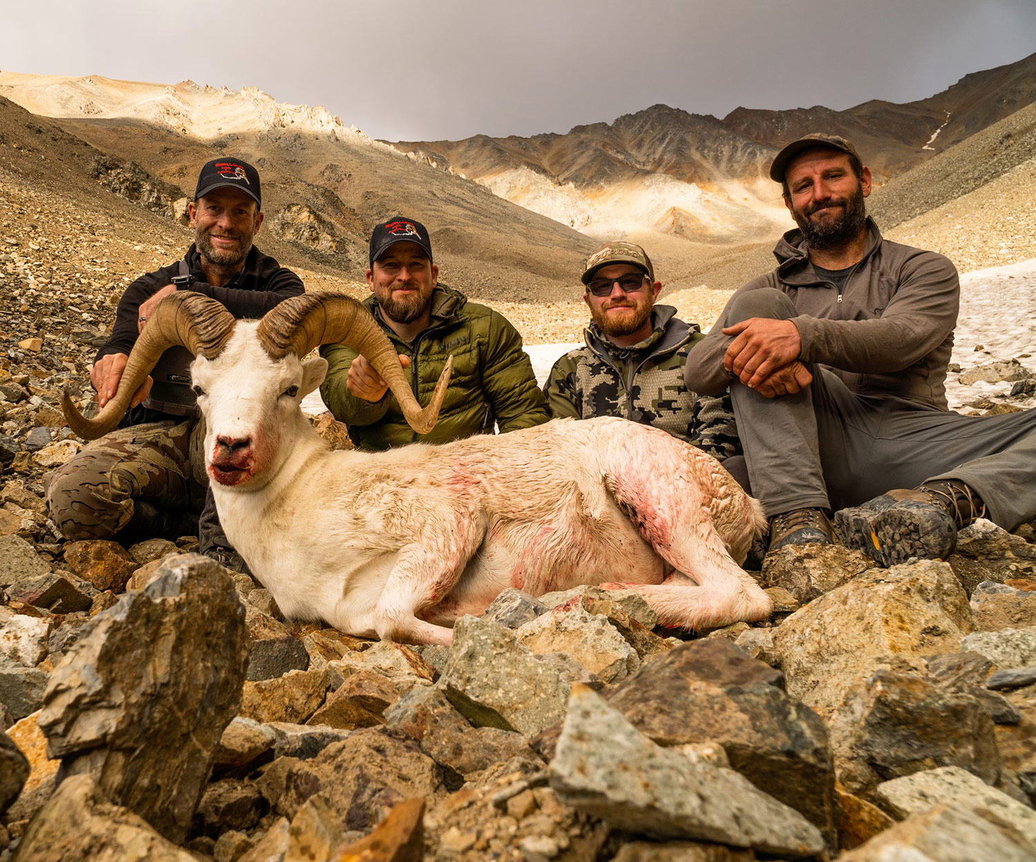 Alaska Sheep Hunting Guides