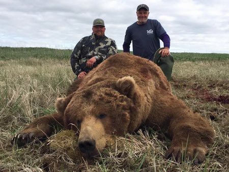 Hunting Alaskan Coastal Brown Bears