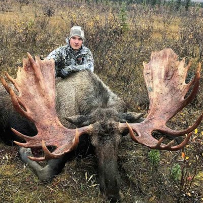 Alaska Moose Hunting Guides